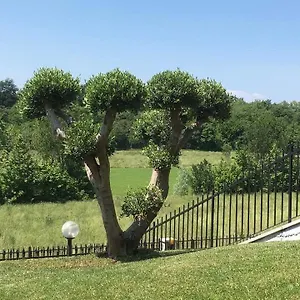https://villa-elisa-relax.it-lombardy.com